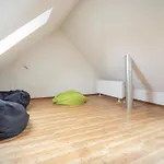 Ferienhaeuser - Urlaub Mit Haustier In Ostfriesland Hébergement de vacances