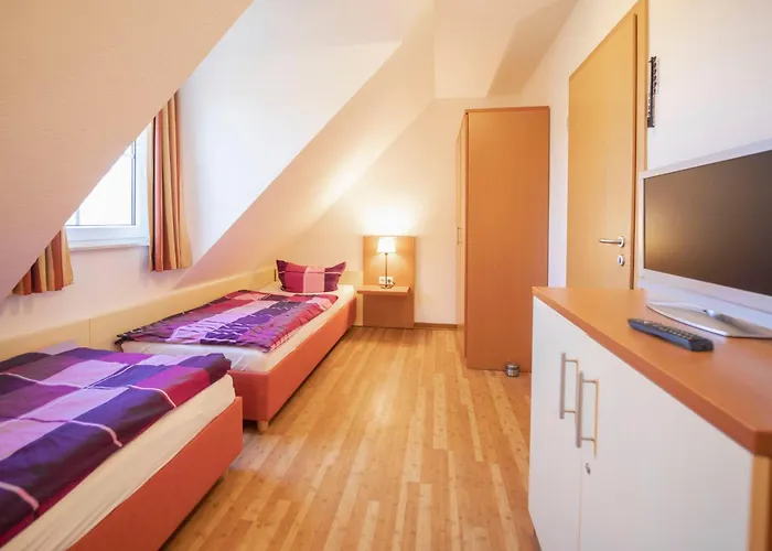 Ferienhaeuser - Urlaub Mit Haustier In Ostfriesland